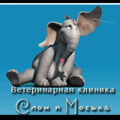 Ветеринарная клиника «Слон и Моська»